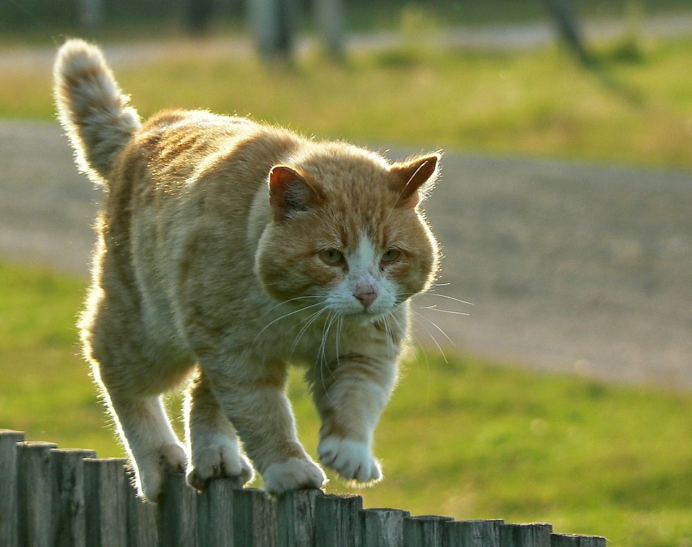 Photograph by Sergei Petrov