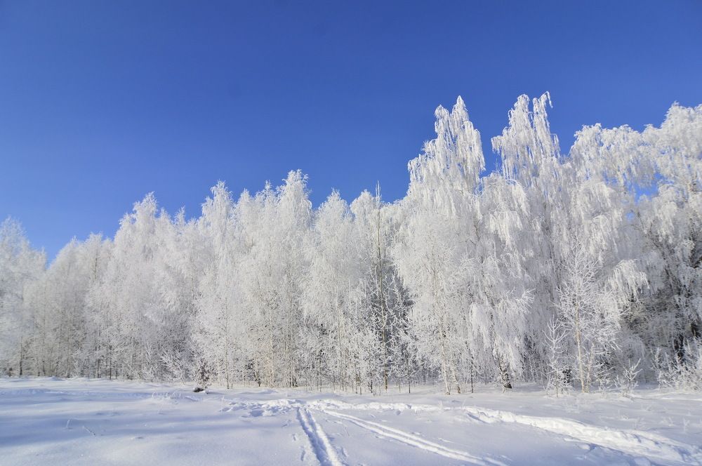 Фотография автора Клавдия Васильева