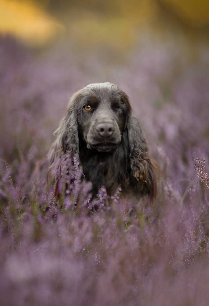 Finding Strength in Imperfection