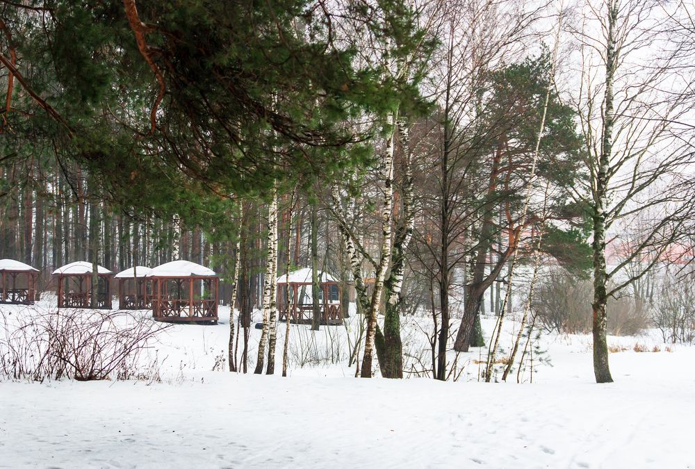 Photograph by Любовь Дворникова