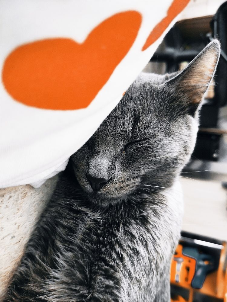 Photograph by Миша Азиатцев