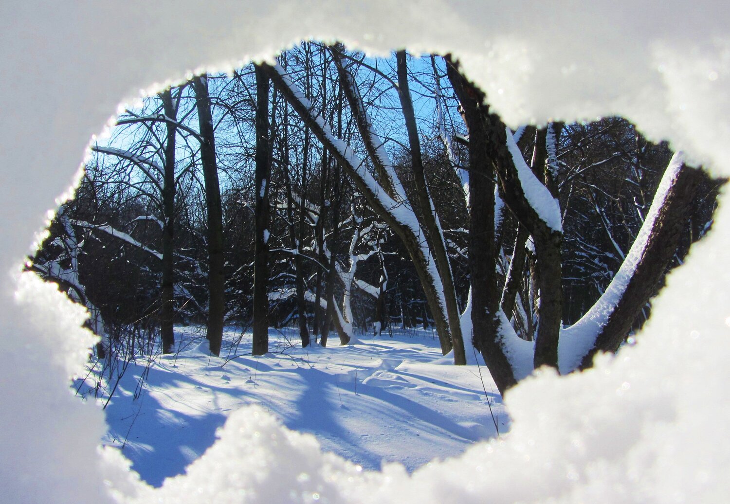 Photo #8708416