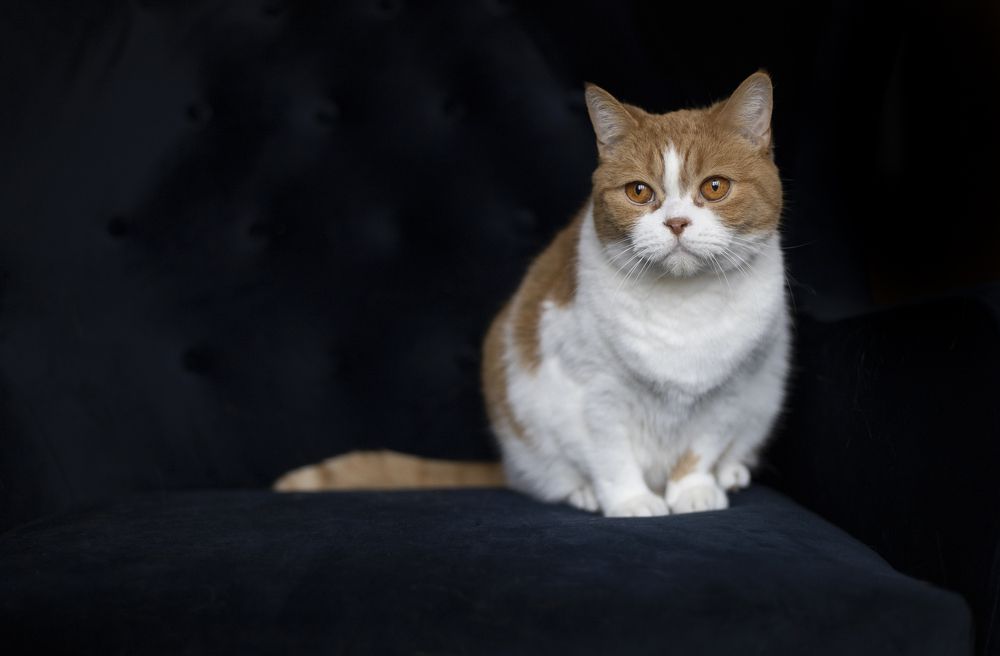 Photograph by Jeanette Bernholm