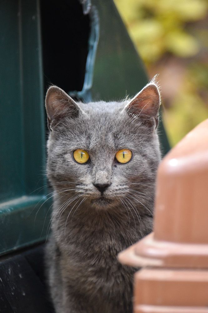 Photograph by Odysseas Christofides