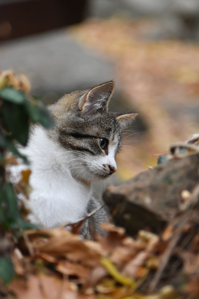 Photograph by Odysseas Christofides