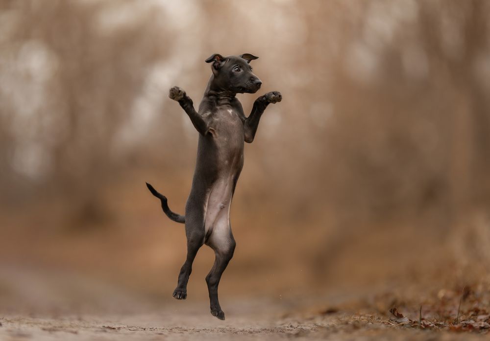 Photograph by Yong Lei van Barlingen