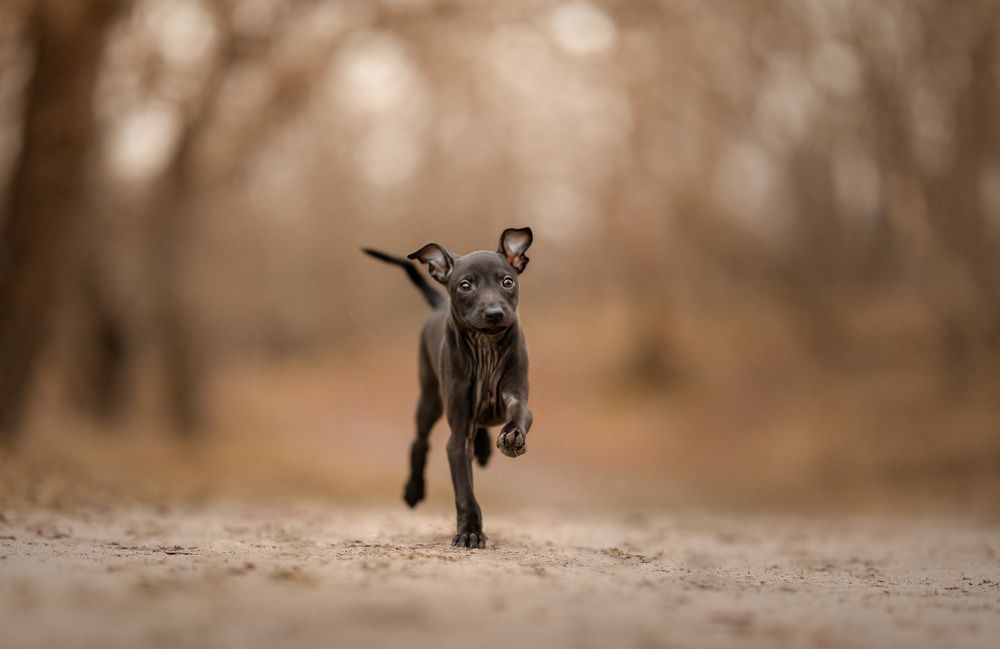 Photograph by Yong Lei van Barlingen