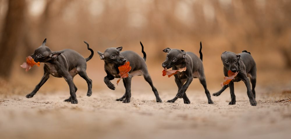 Photograph by Yong Lei van Barlingen