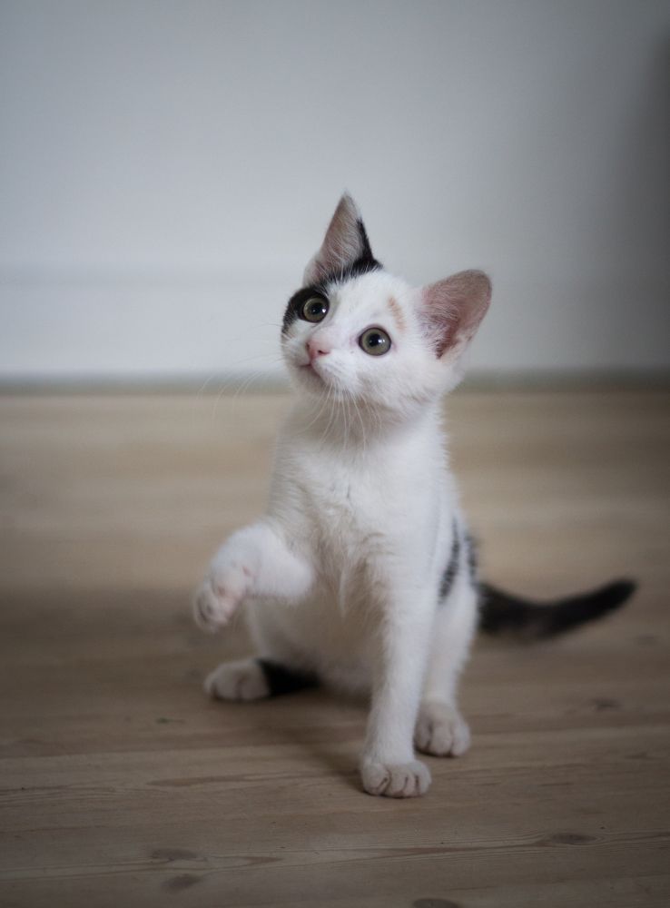 Photograph by Jeanette Bernholm