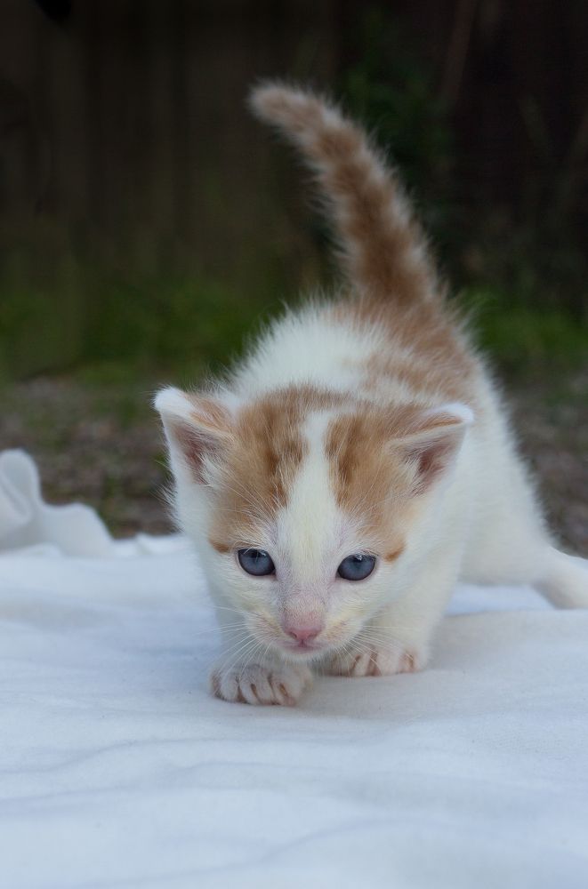 Photograph by Jeanette Bernholm