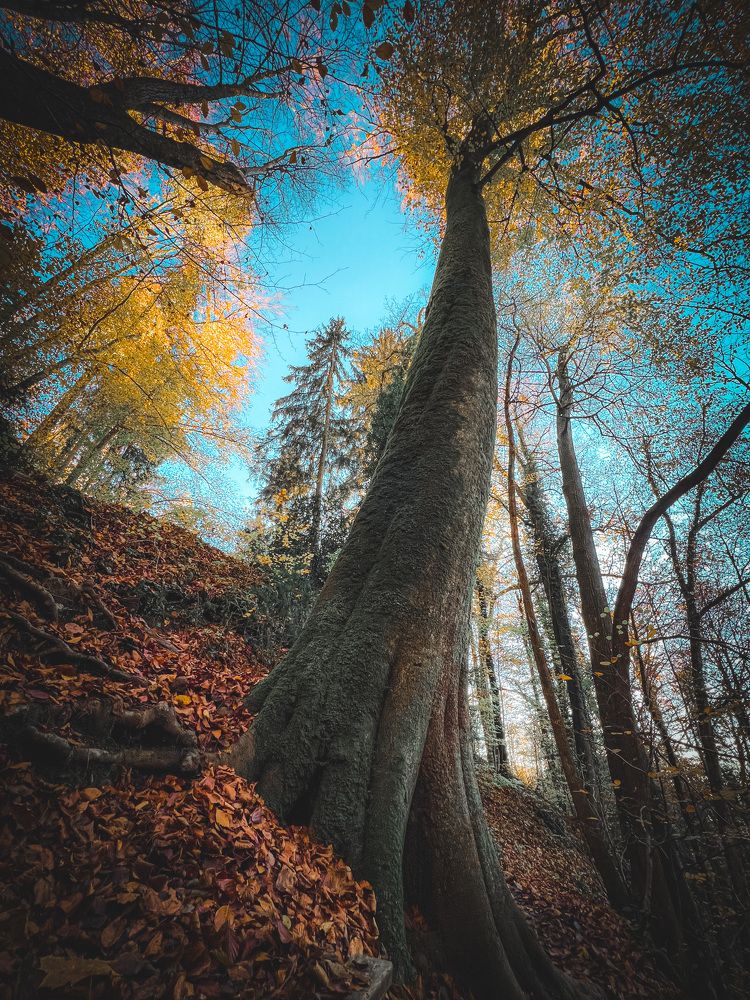 Photograph by Dmitrijs Rjabcevs