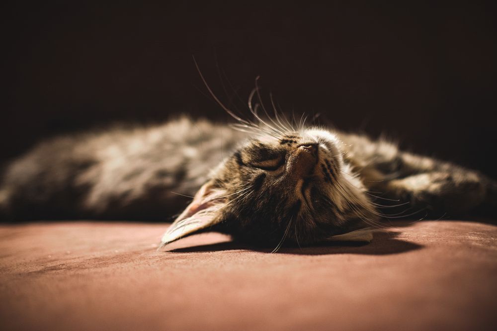 Photograph by Евгений