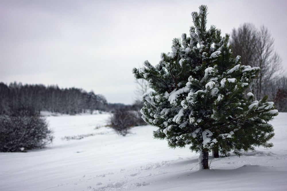 Photograph by Евгений