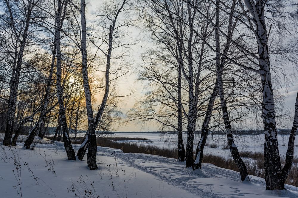 Photograph by Николай Головко