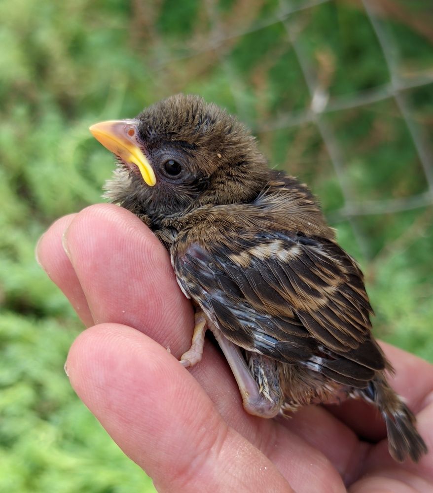 Photograph by Дмитрий Леонтенко