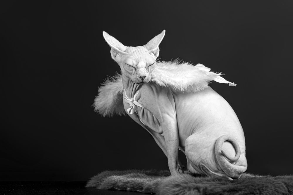 Photograph by наталья залогина