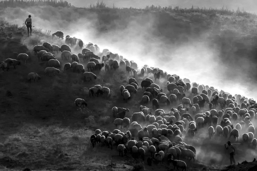 Фотография автора Aylin Turnator