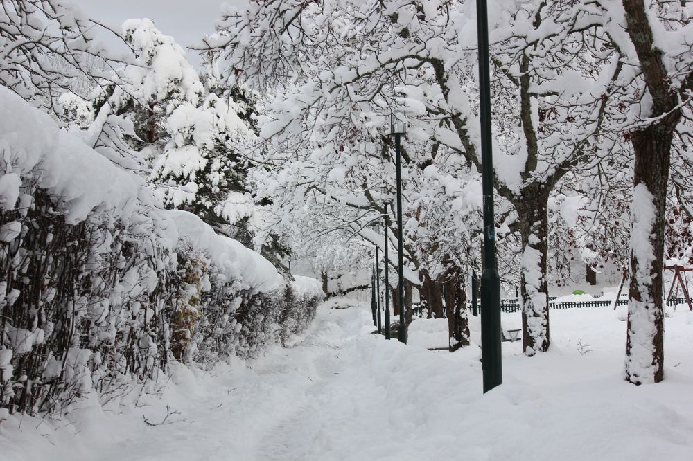 Photograph by Lena Feldman