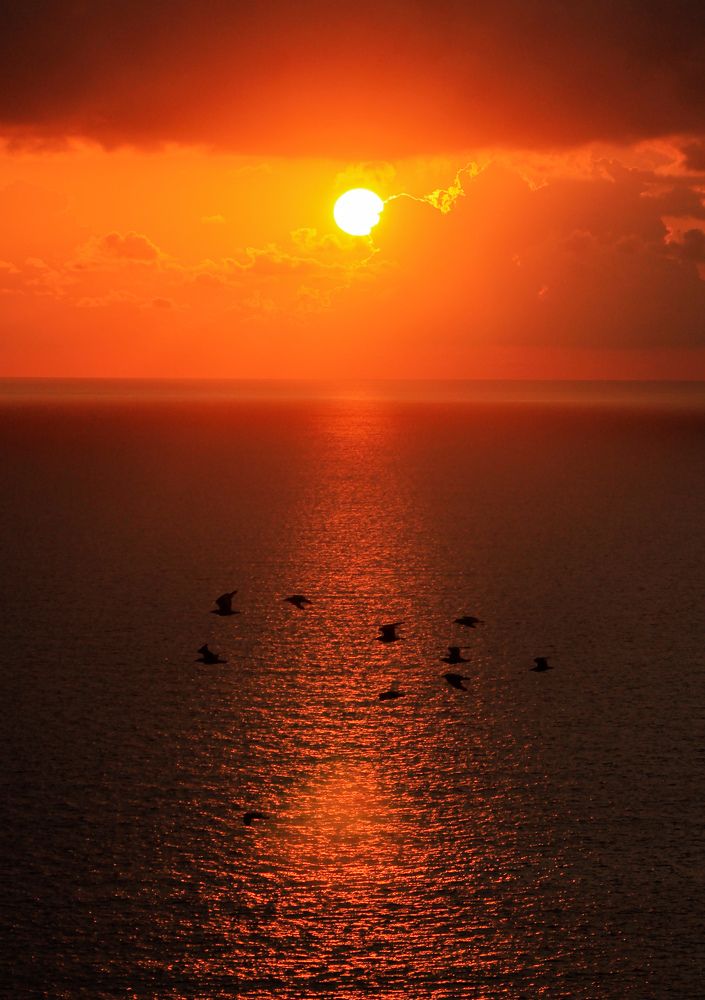 Photograph by Tinatin Gviniashvili-Chkhikvishvili