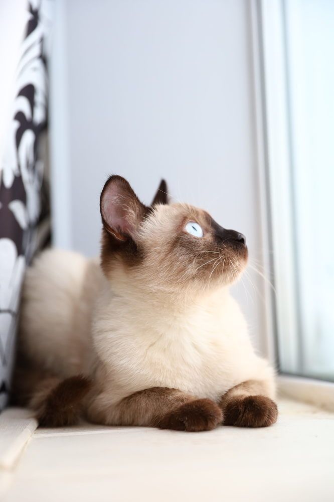 Photograph by Инна Смолякова