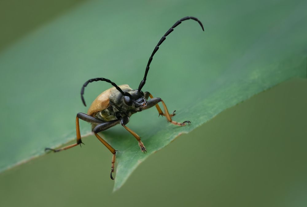 Photograph by Хилько Марина