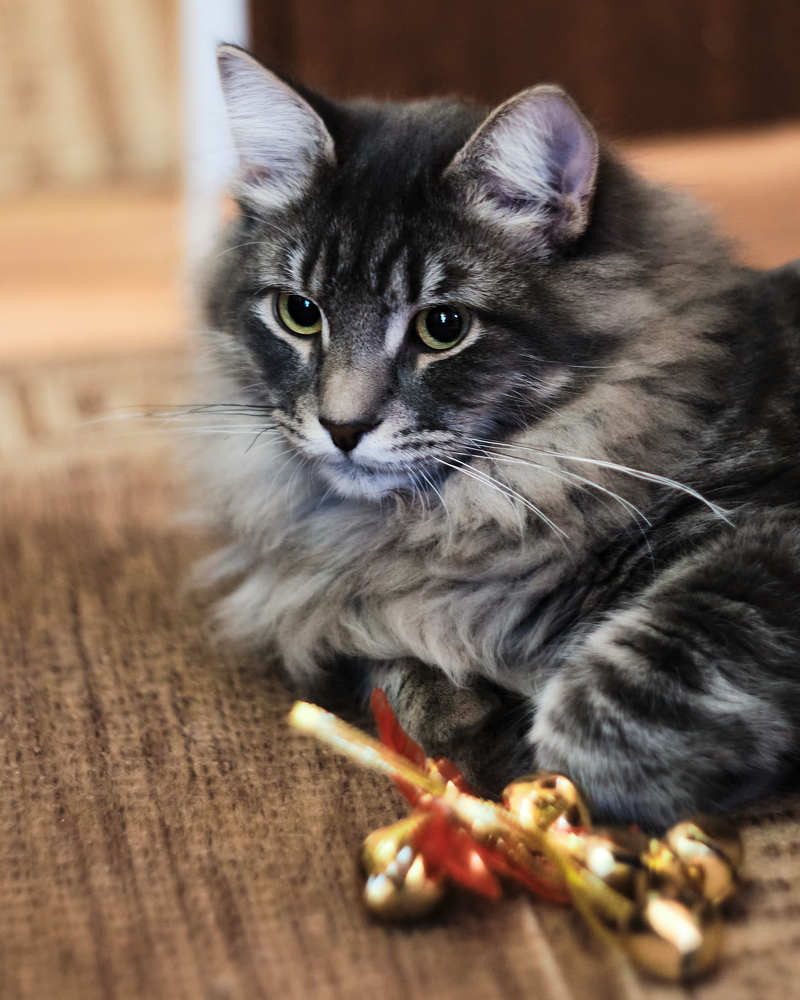 Photograph by Виктория Колышева