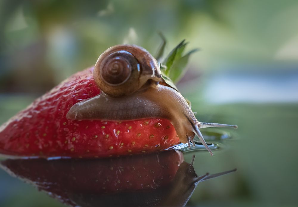 Photograph by Хилько Марина