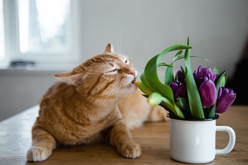 Photograph by Покровская Екатерина