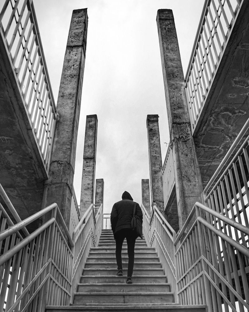 Photograph by mehdi shirvani