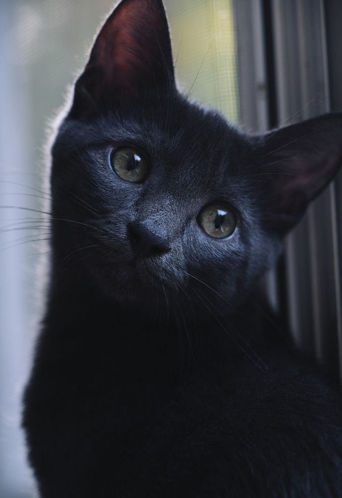 Photograph by Виктория Колышева