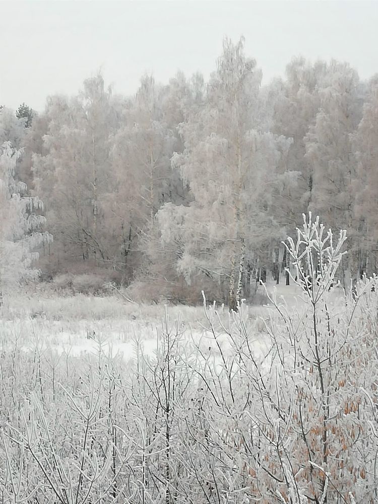 Photograph by Galina Novichkova