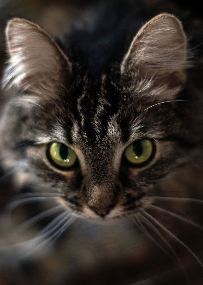 Photograph by Виктория Колышева