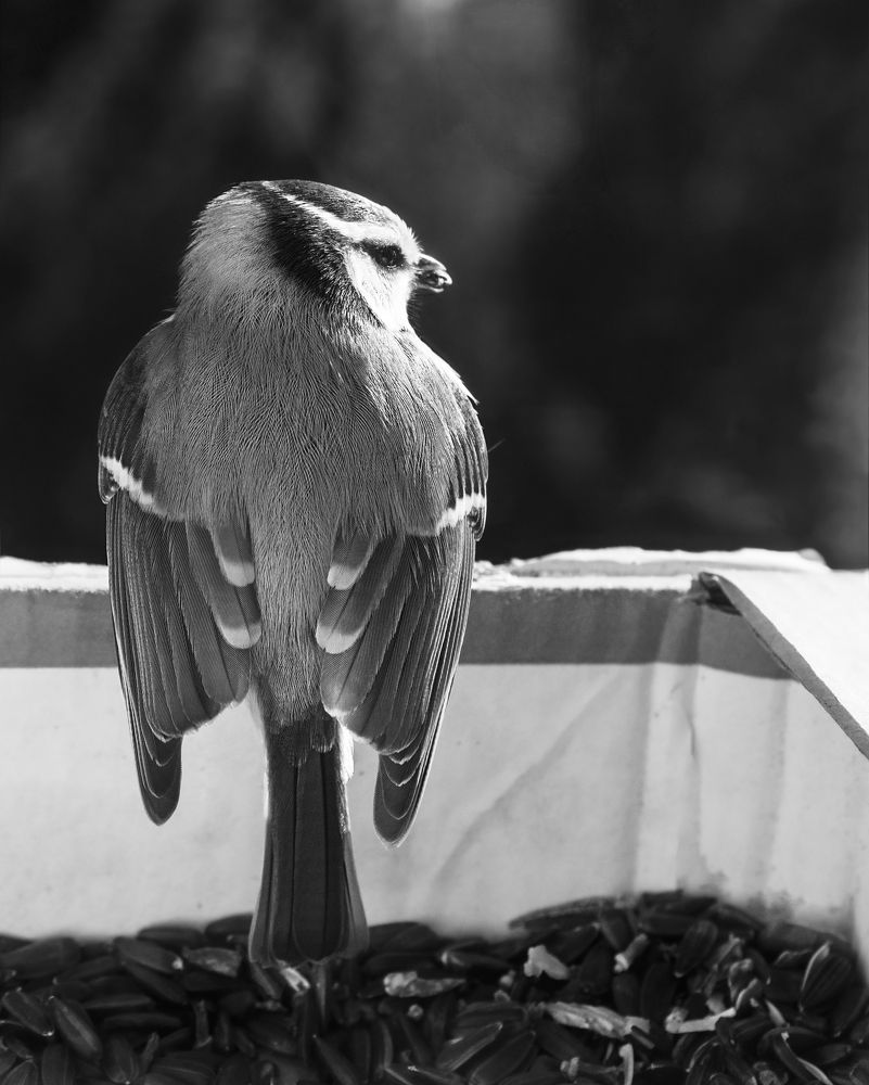 Photograph by Elena Lopatina