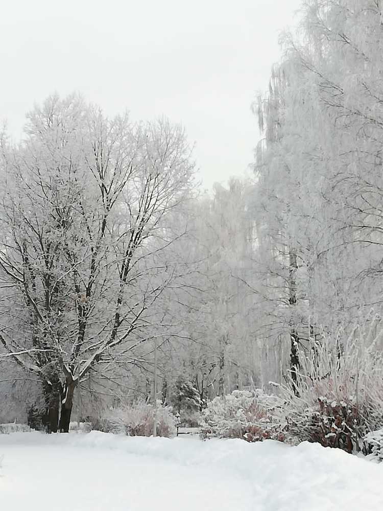 Photograph by Galina Novichkova