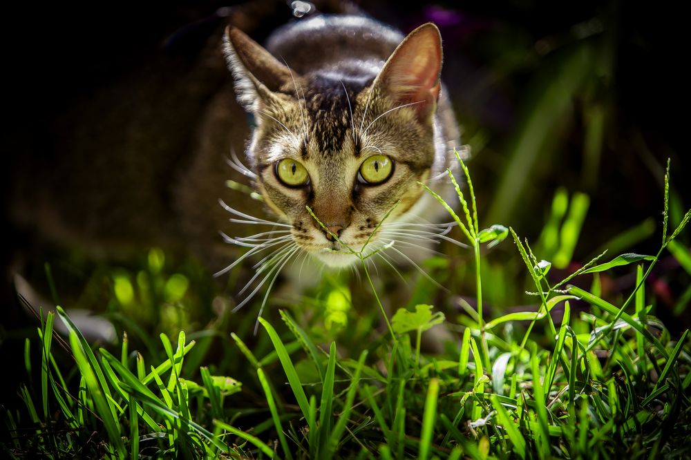 Photograph by Katja Sen