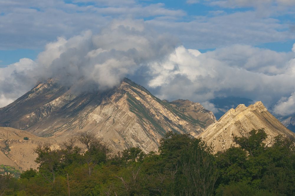Photograph by Алёна Пшеленская