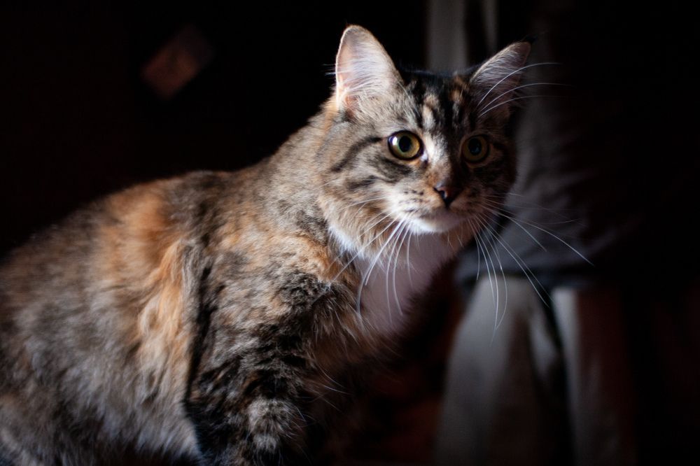 Photograph by Ванда