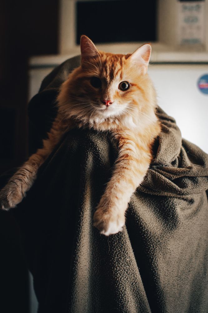 Photograph by Ванда