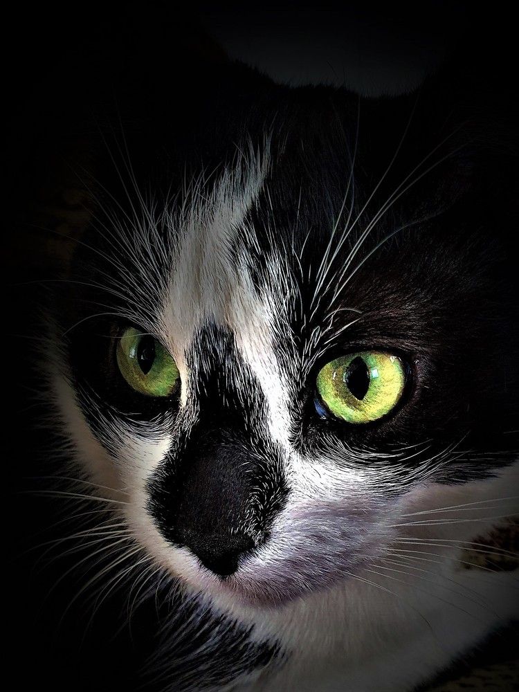 Photograph by Яна Галимуллина