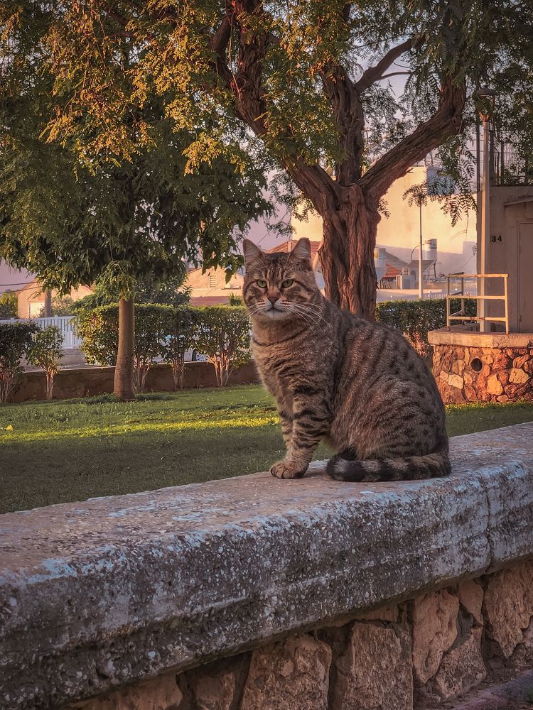 Photograph by Александра Кропивка