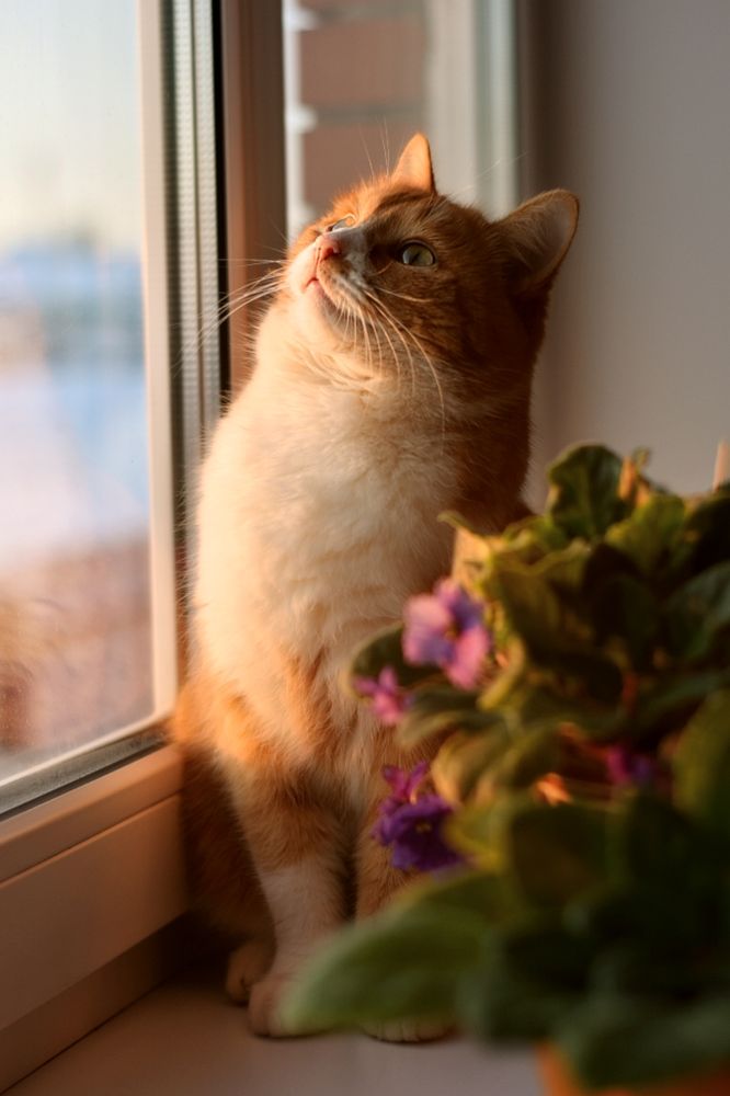 Photograph by Марина Абросимова