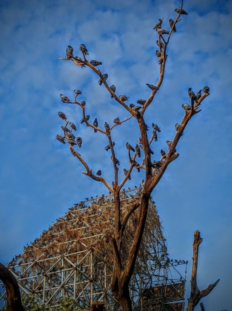 Photograph by Sahil Negi