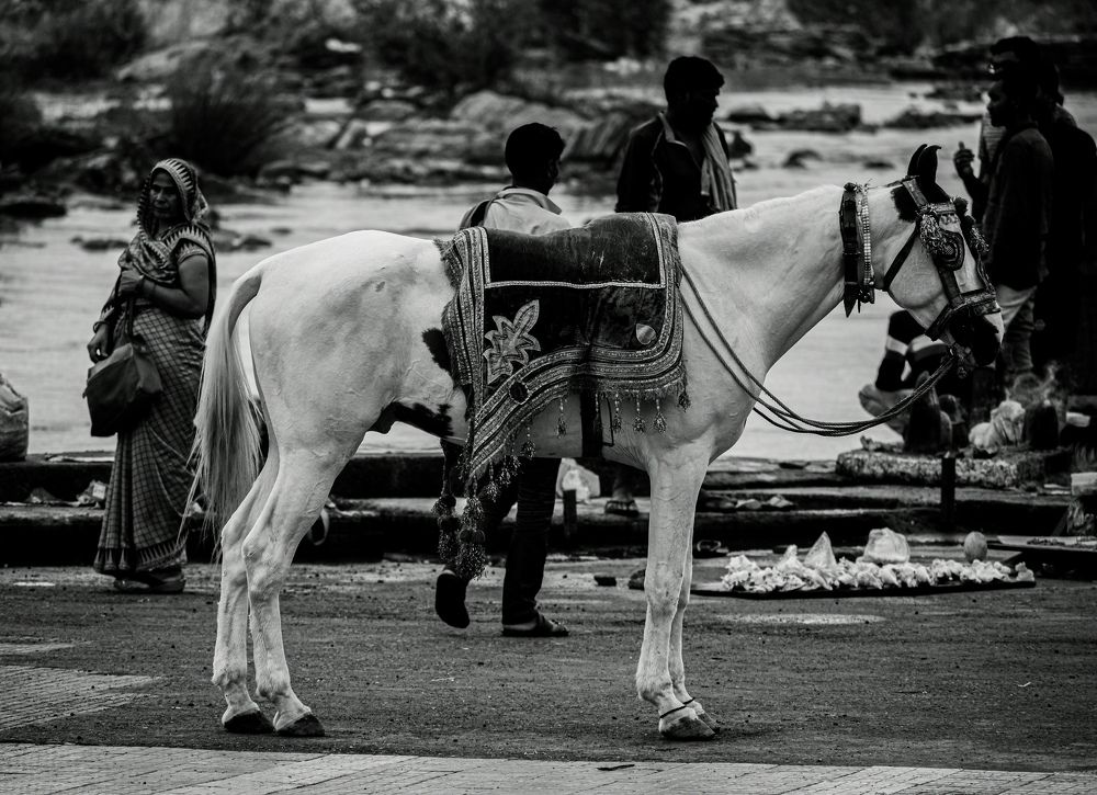 Photograph by Aryant shah