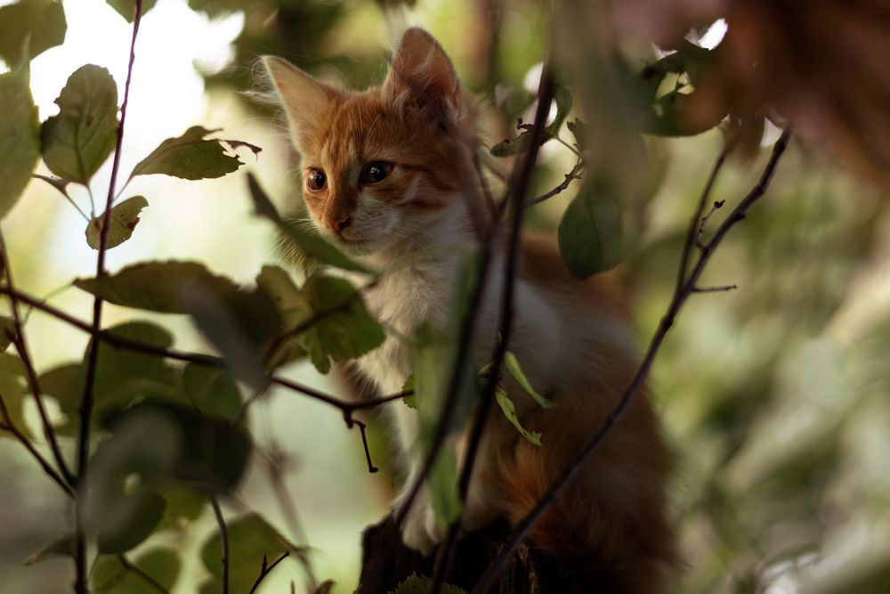 Photograph by Виталий Адуцкевич