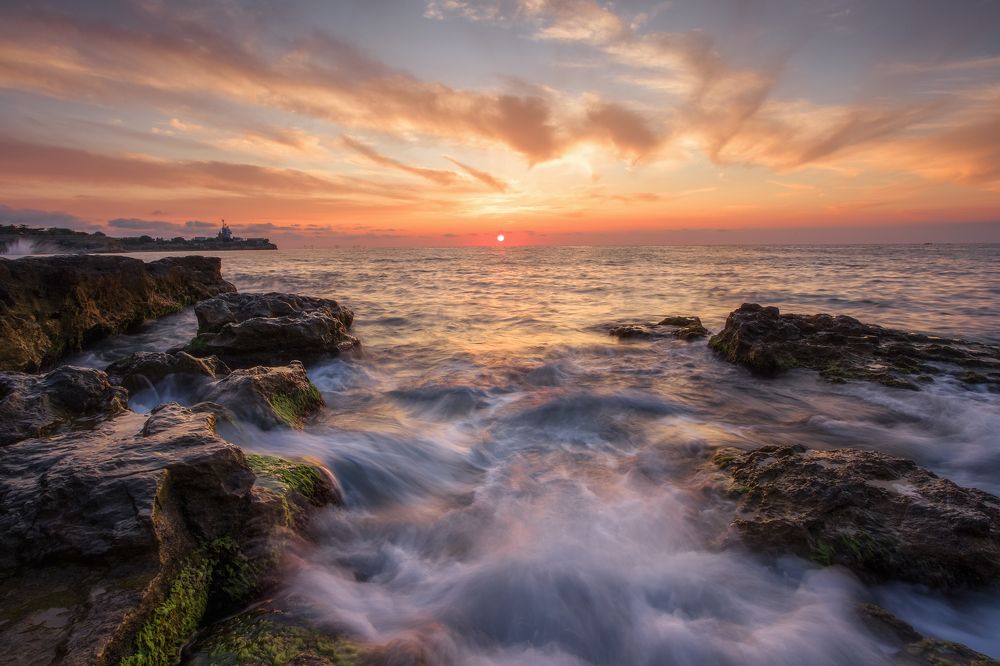 Фотография автора Дмитренко Екатерина