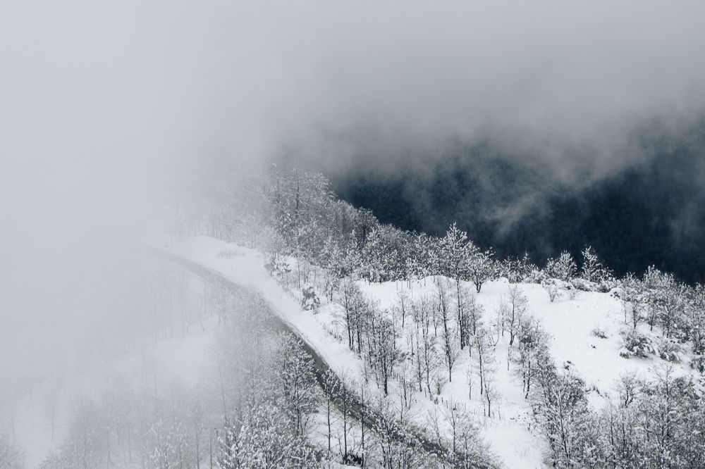 Photograph by Mahdi Bafande