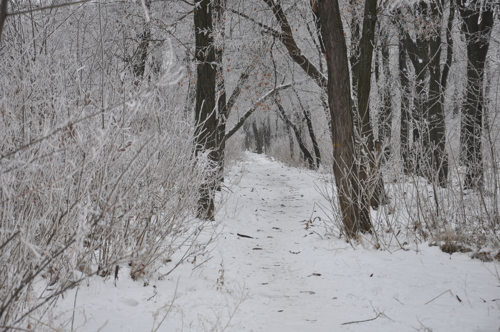 Photograph by Вадим Архипов