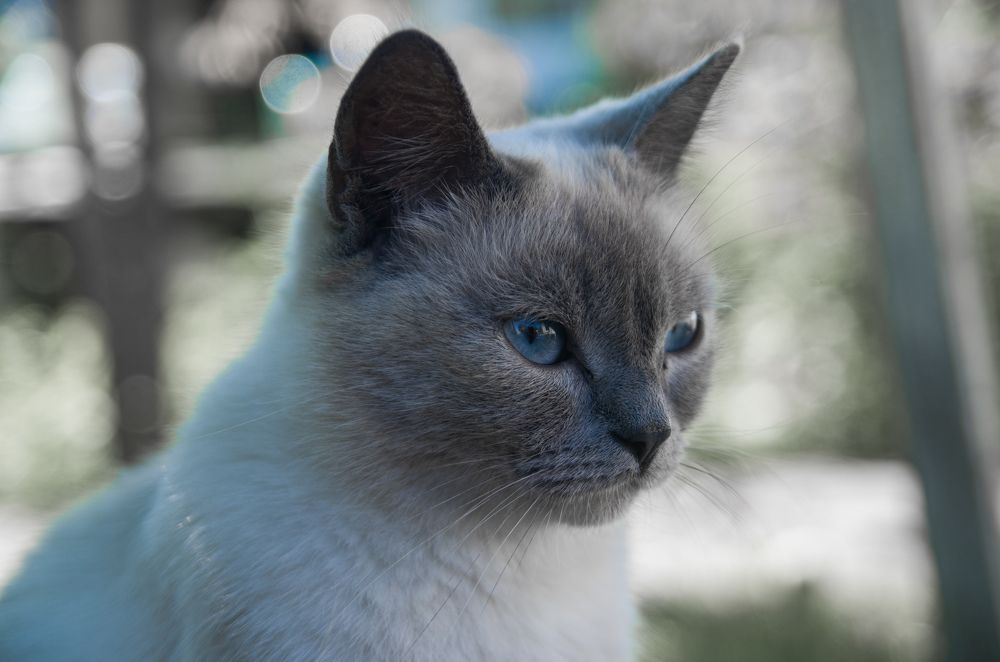 Photograph by Артём Серегин