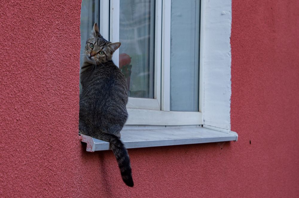 Photograph by Артём Серегин