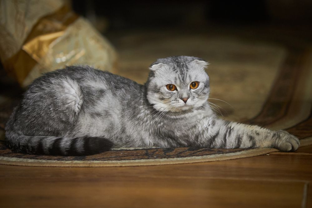 Photograph by Вадим Архипов